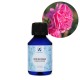 Trandafir de Damasc Organic